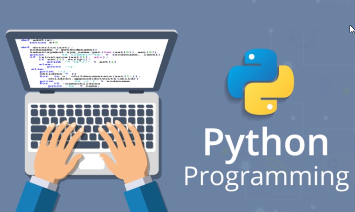 Python-разработчик – описание профессии и где учиться