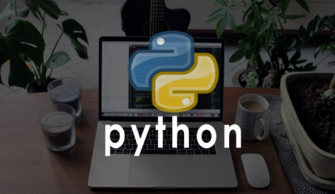 Профессия Python-разработчик – что делает, как им стать, зарплата в России 
