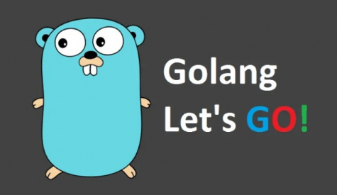 Профессия Go-разработчик (Golang) – что делает, как им стать, зарплата в России